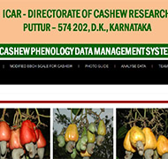 Cashew Phenology Data Management